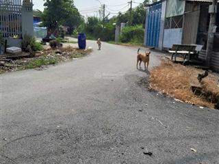 Cho thuê đất tại đường nguyễn kim cương, tân thạnh đông, củ chi, 6 triệu, 2000m2