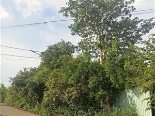 Bán đất siêu đẹp đầy đủ thổ 581m2 tại hương lộ 39, suối tiên, diên khánh, 30tr/m2