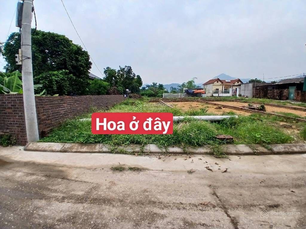 Minh phú sóc sơn, đường rộng, ngõ nông