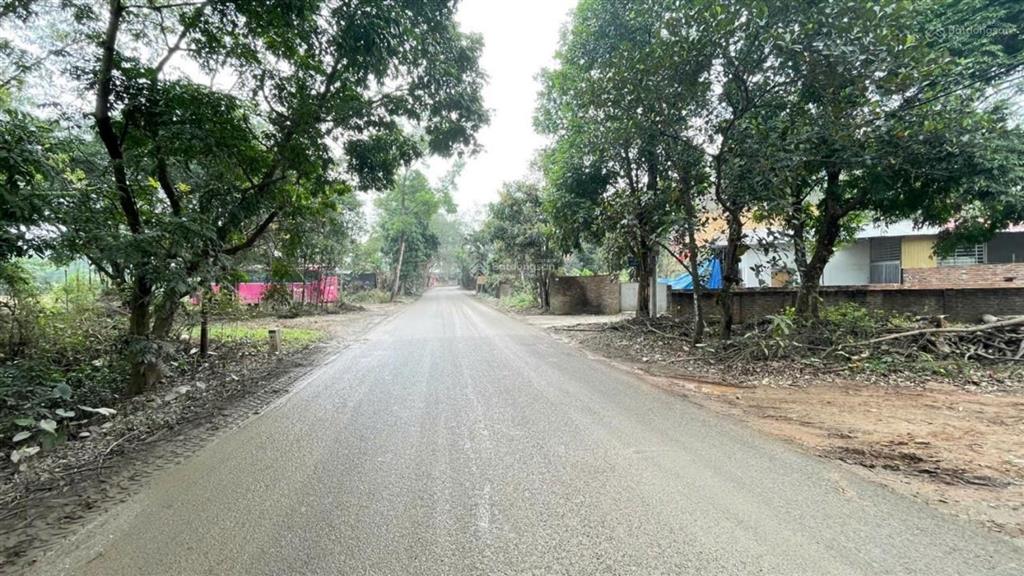 Trục chính thôn gần ql35 mặt tiền khủng hơn 40m đầu tư sinh lời cao