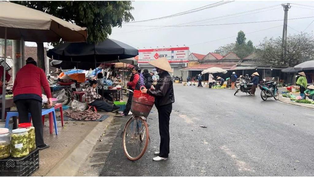 Gia đình có 10 lô đất đất nền dự án hưng hóa city cần bán cắt lỗ thu hồi vốn 85m2  123m  150m2