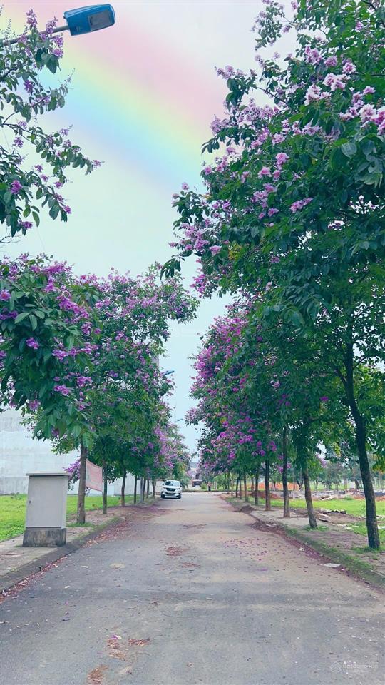 Gia đình cần bán lô góc liền kề 85m2 8,5mx10m mặt tiền rộng giá cắt lỗ