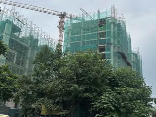 Bán quỹ căn suất ngoại giao dự án platinum long biên