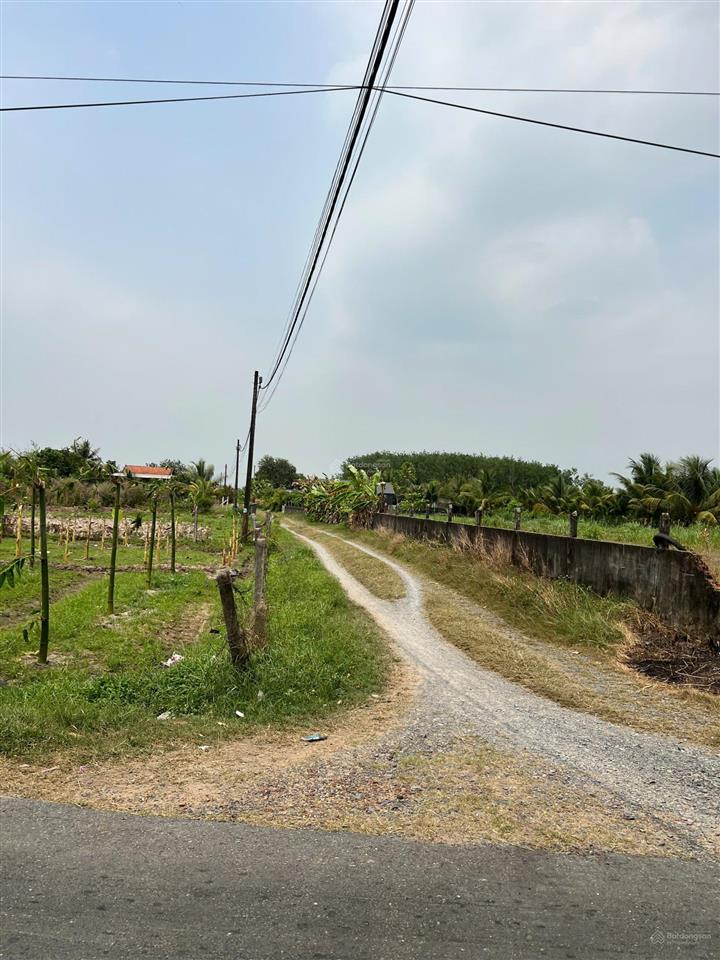 Bán đất tại nguyễn văn tiệp, nhuận đức, củ chi, hcm 8 tỷ, 2299 m2 chính chủ uy tín