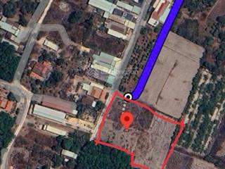 Bán đất tại lộc giang, đức hòa, long an, 8,5 tỷ, 4782 m2, giá siêu hời