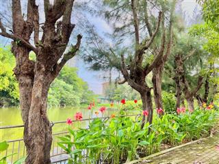 Bán đất lê văn lương, tân phong, quận 7, hcm, 12,5 tỷ, 100m2, view đẹp hàng hiếm tại