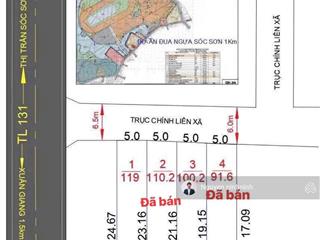 Trục chính đan tảo tân minh sóc sơn hn