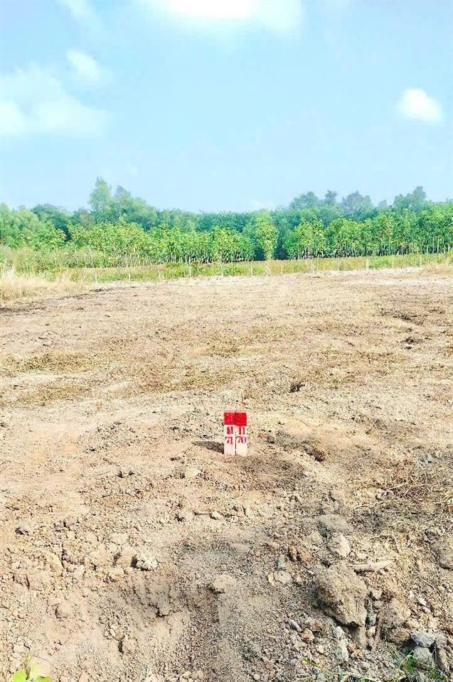 Đất nền giá rẻ diện tích lớn 280m2