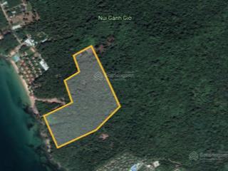 Bán đất ven biển ~ 6ha, chính chủ tại phú quốc