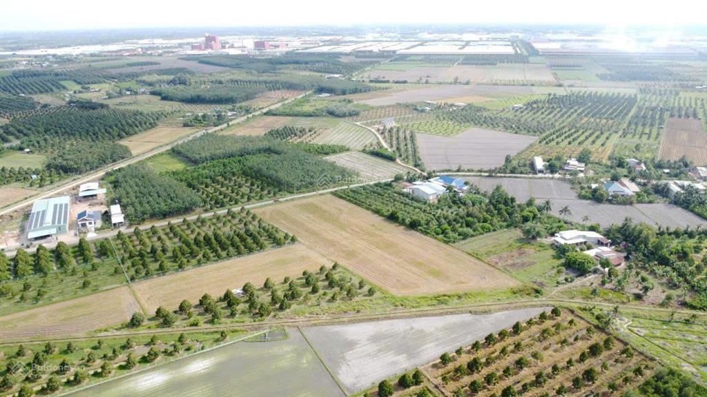 Đất xây trọ, nhà xưởng... sát kcn phước đông 7072m2 có 1600m2 thổ cư