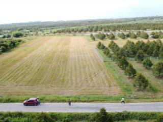 Đất xây trọ, nhà xưởng... sát kcn phước đông 7072m2 có 1600m2 thổ cư