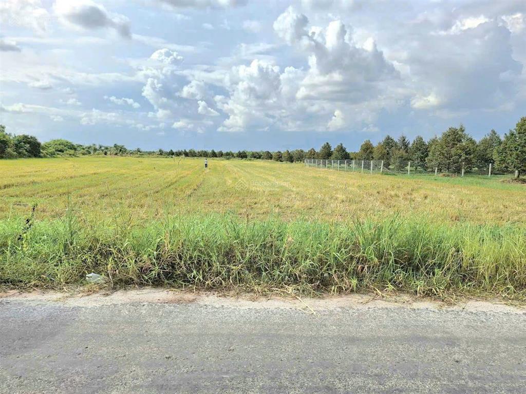 Đất xây trọ, nhà xưởng... sát kcn phước đông 7072m2 có 1600m2 thổ cư