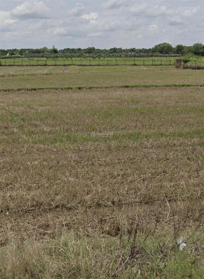 Bán đất tại trung lập thượng, củ chi, hcm, 7,5 tỷ, 1560 m2