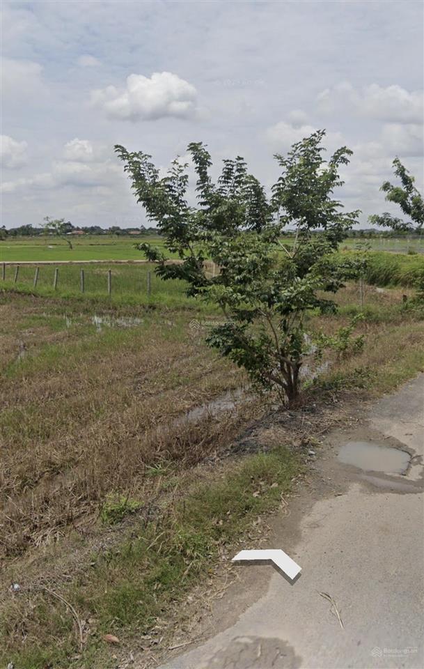 Bán đất tại trung lập thượng, củ chi, hcm, 7,5 tỷ, 1560 m2