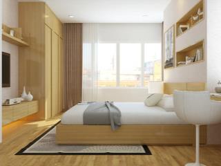 Bán căn hộ chung cư him lam chợ lớn, q. 6, 102m2, 2pn 2wc. giá 4.2 tỷ