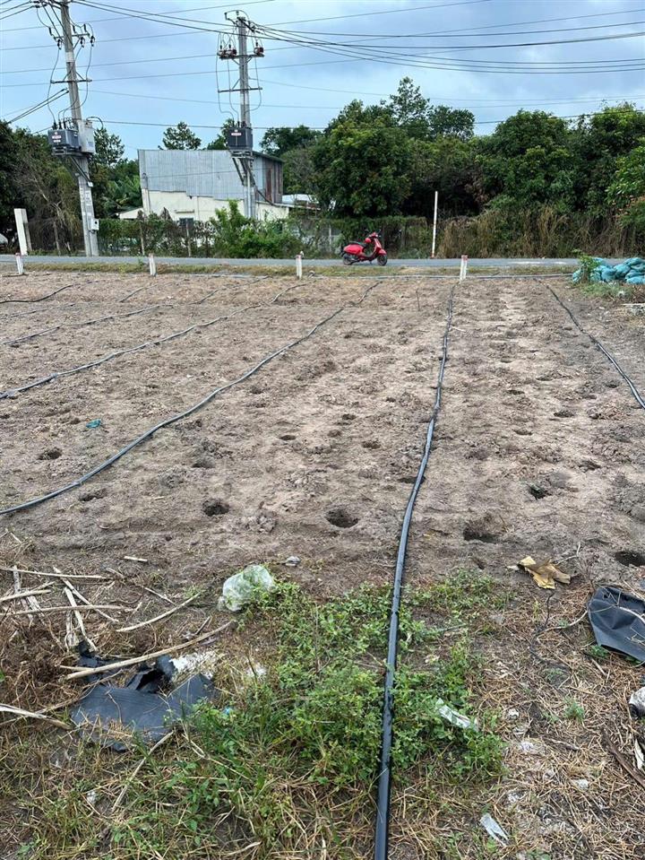 Bán đất 100m2 tại an nhơn tây, củ chi, hồ chí minh, giá siêu hời 1,7 tỷ