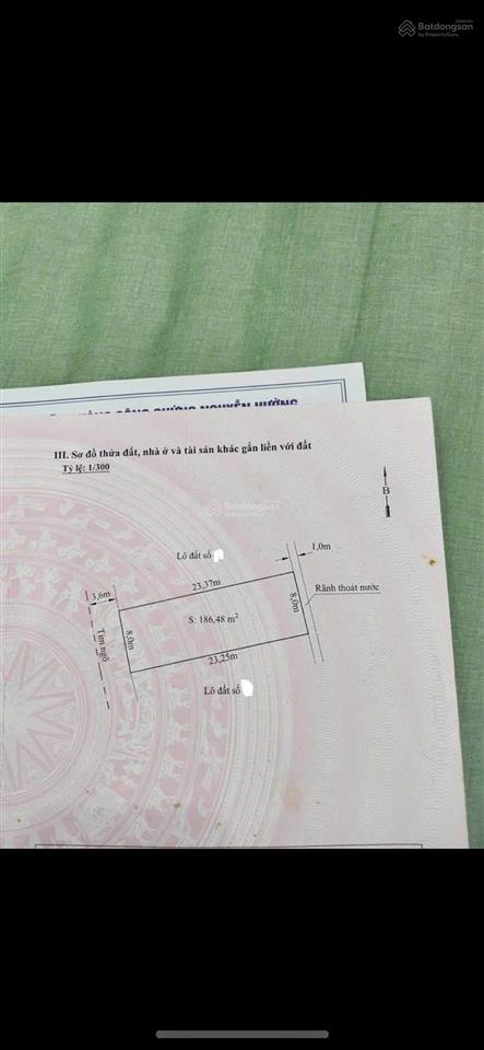 981702859 em trang mua bán đất nền kiến thuỵ
