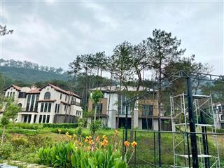 Thanh xuân valley miền an chú giữa thung lũng thông gieo