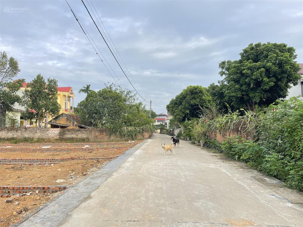 Bán lô đất 2 mặt tiền ngay cạnh chợ và khu du lịch hồ đại lải .