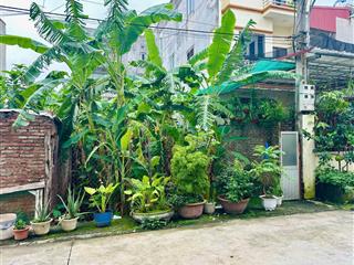 115m thông vàng,cổ bi. giá nhỉnh 12 tỷ