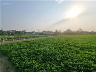 Bán đất 17.000m2 mt ql14g, thôn đông lâm, hoà phú, hoà vang
