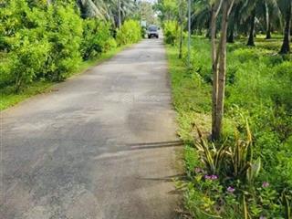 Cần tiền gấp giải ngân ngân hàng, bán đất trồng dừa cho trái 100%.