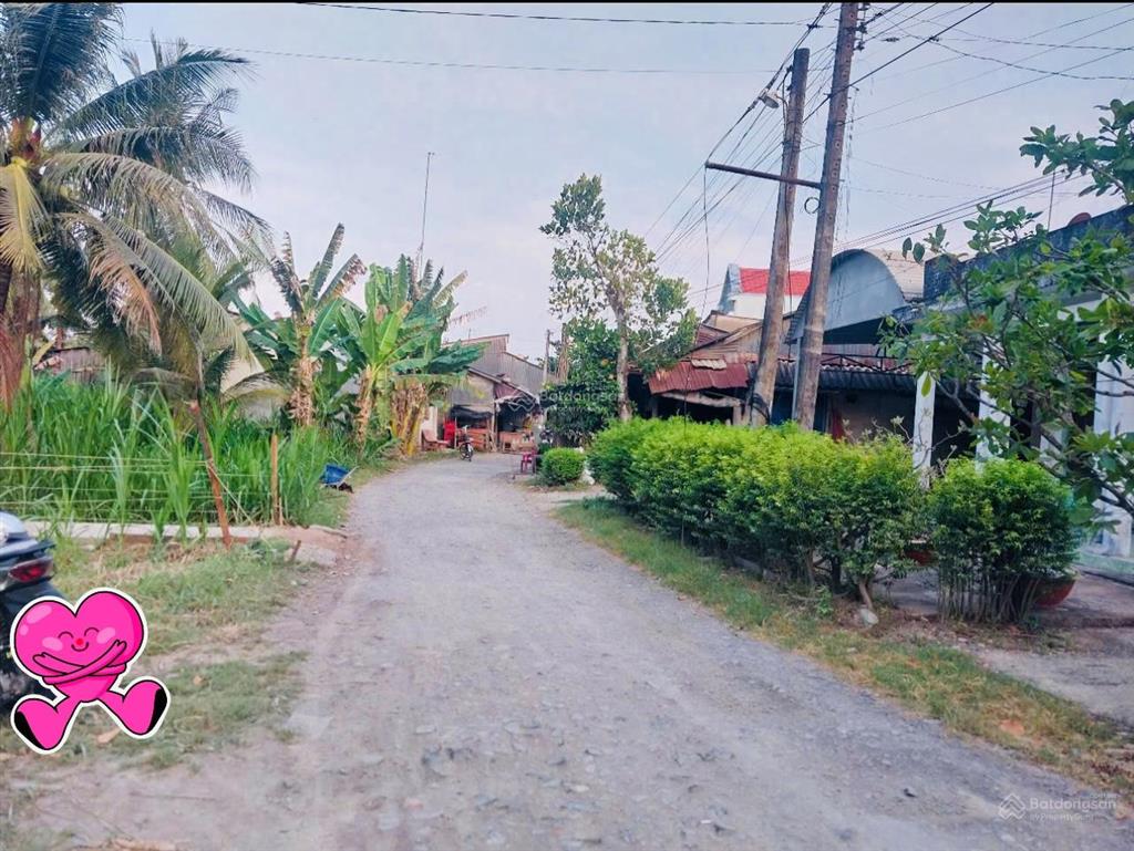 Bán đất mặt tiền đường ô tô sát chợ cả lức ấp mỹ trạchhương mỹvĩnh long.