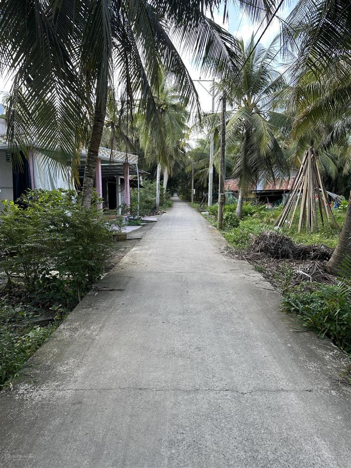 Bán đất mặt tiền đường bê tông 3,5m tại ấp bình đông2  xã hương mỹ  tỉnh vĩnh long