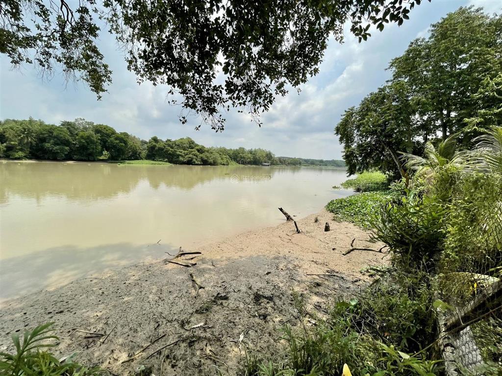 Bán vườn tại xã an nhơn tây, hcm, giá cực chất 5,3 tỷ, 2861m2  thổ cư 95,6m2