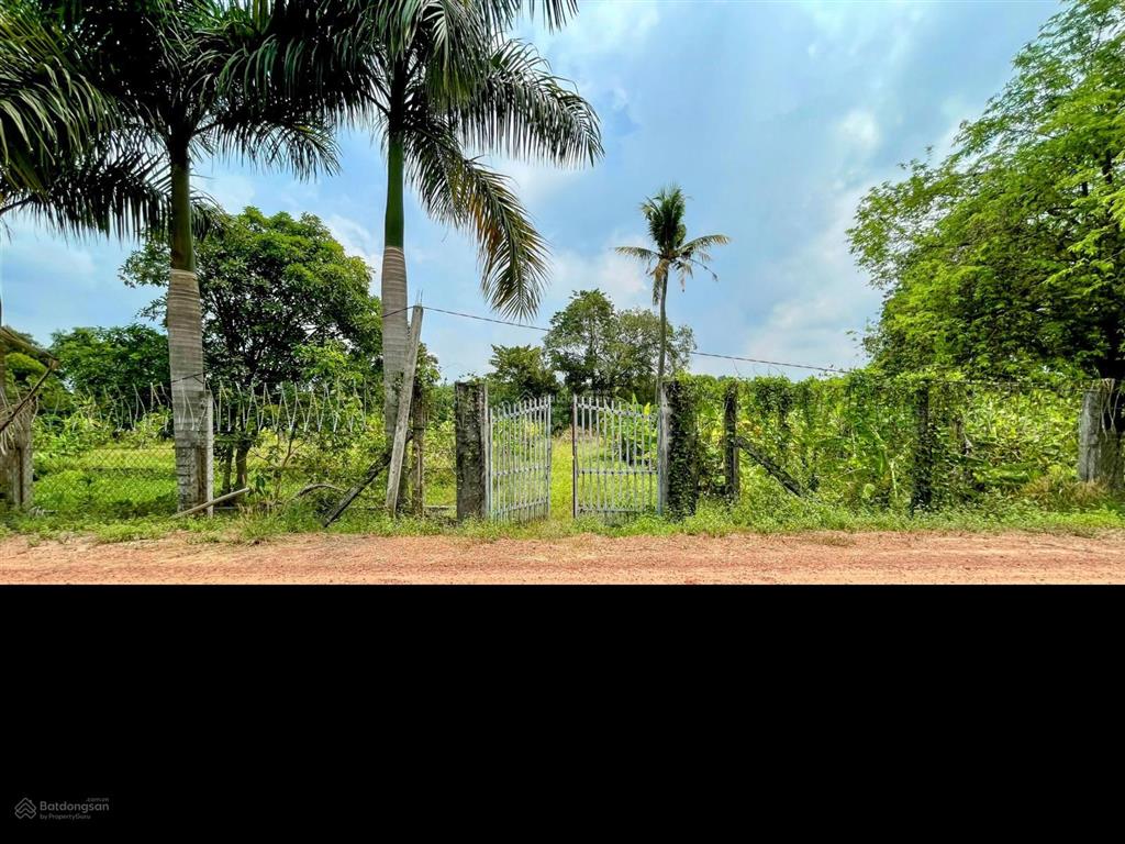 Bán vườn tại xã an nhơn tây, hcm, giá cực chất 5,3 tỷ, 2861m2  thổ cư 95,6m2