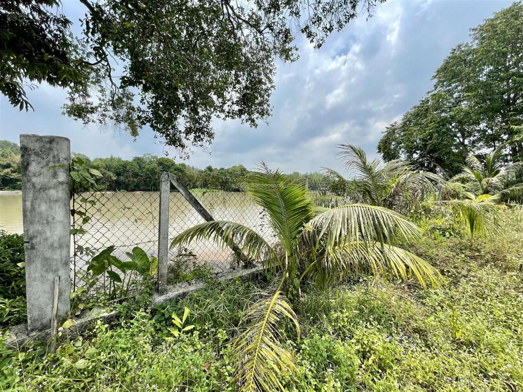 Bán vườn tại xã an nhơn tây, hcm, giá cực chất 5,3 tỷ, 2861m2  thổ cư 95,6m2