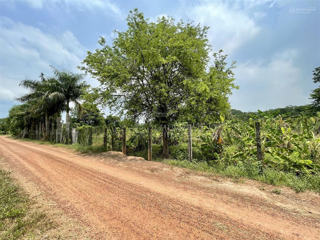 Bán vườn tại xã an nhơn tây, hcm, giá cực chất 5,3 tỷ, 2861m2  thổ cư 95,6m2