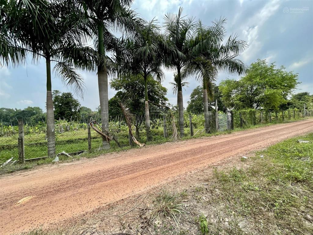 Bán vườn tại xã an nhơn tây, hcm, giá cực chất 5,3 tỷ, 2861m2  thổ cư 95,6m2