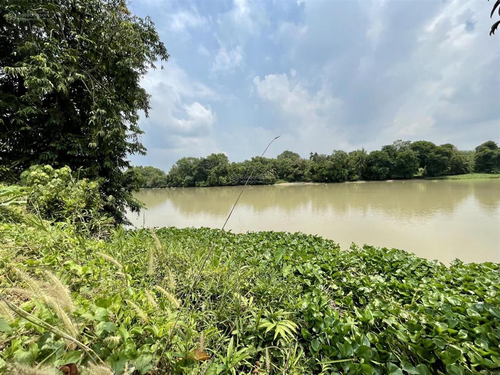 Bán vườn tại xã an nhơn tây, hcm, giá cực chất 5,3 tỷ, 2861m2  thổ cư 95,6m2