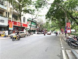 Cho thuê nhà mt 5m dt 50m2 phố trần phú vỉa hè rộng rãi, nhận diện tốt.