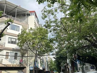 Mặt phố vip quận cầu giấy  lô góc  kinh doanh  xây building  không quy hoạch  dt92m2 x 34.2tỷ