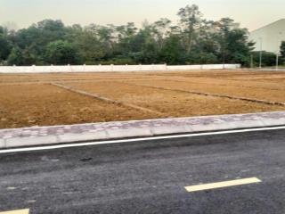 Bán đất thổ cư phú cát giá rẻ sổ đỏ mặt tiền rộng tiện kinh doanh