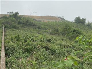 1500m2 đông xuân, quốc oai, hn(cũ) mặt tiền 16,77m trục chính .cách đại tộ thăng long 3,5km