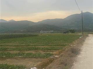 Bán lô đất trồng cây 3 măt tiền ở diên lâm  diên khánh