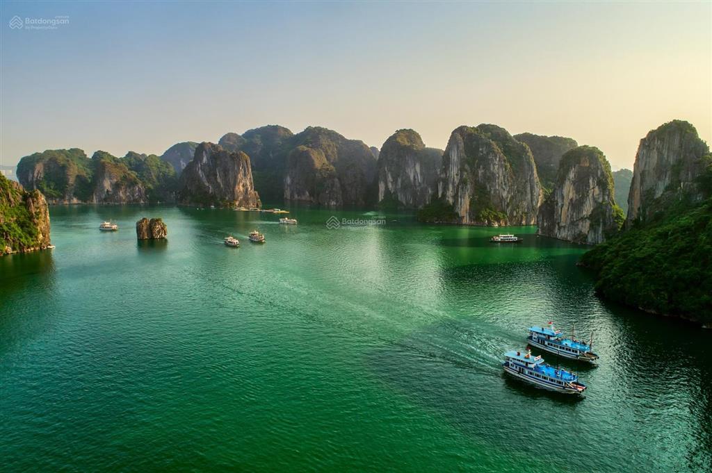 Bàn giao căn hộ ven biển chỉ từ 2 tỷ, đem lại dòng tiền 24 triệu/ngày, đón sóng đặc khu vân đồn