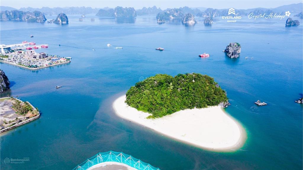 Bàn giao căn hộ ven biển chỉ từ 2 tỷ, đem lại dòng tiền 24 triệu/ngày, đón sóng đặc khu vân đồn