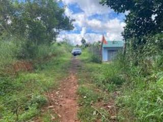 Bán đất rộng xã đăk nia đầu tư hoặc làm vườn