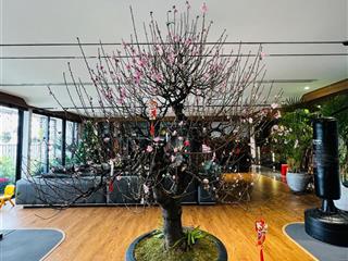 Cập nhật quỹ căn hộ 2  3  4 ngủ chung cư the park home cần bán.