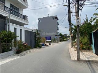 Chính chủ cần bán nền biệt thự kế bên khu dự án gs hàn quốc, thổ cư 100%