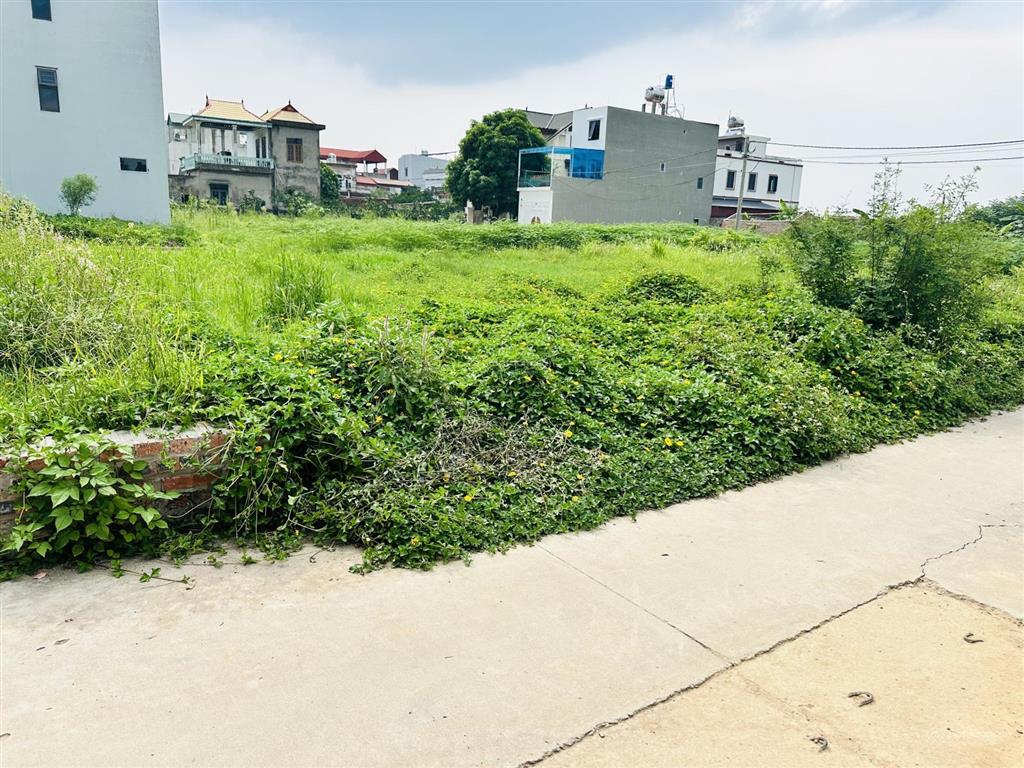 Bán đất tổ 9 quang minh ngõ thông, gần trục chính giá tốt cho nhà đầu tư
