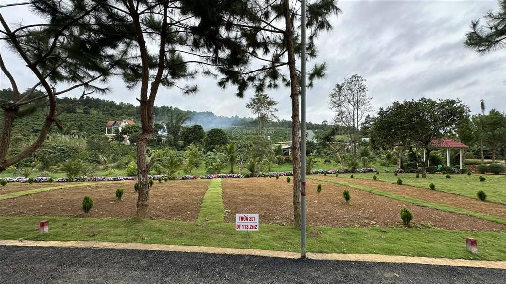 Chỉ 250  330  470 triệu/nền full thổ cư view suối tại lộc phú, bảo lâm 4