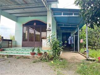 Nhà + vườn bưởi trảng bàng 330m2 (10x33)m, shr, giá 855tr, gần chợ