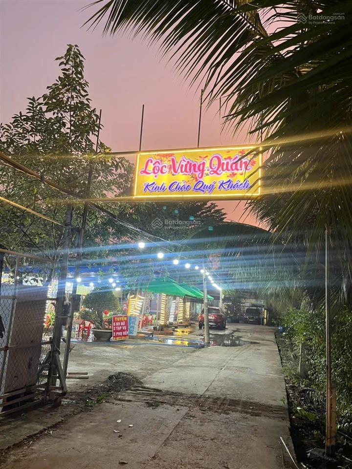 Thanh lý đất trồng cây lâu năm