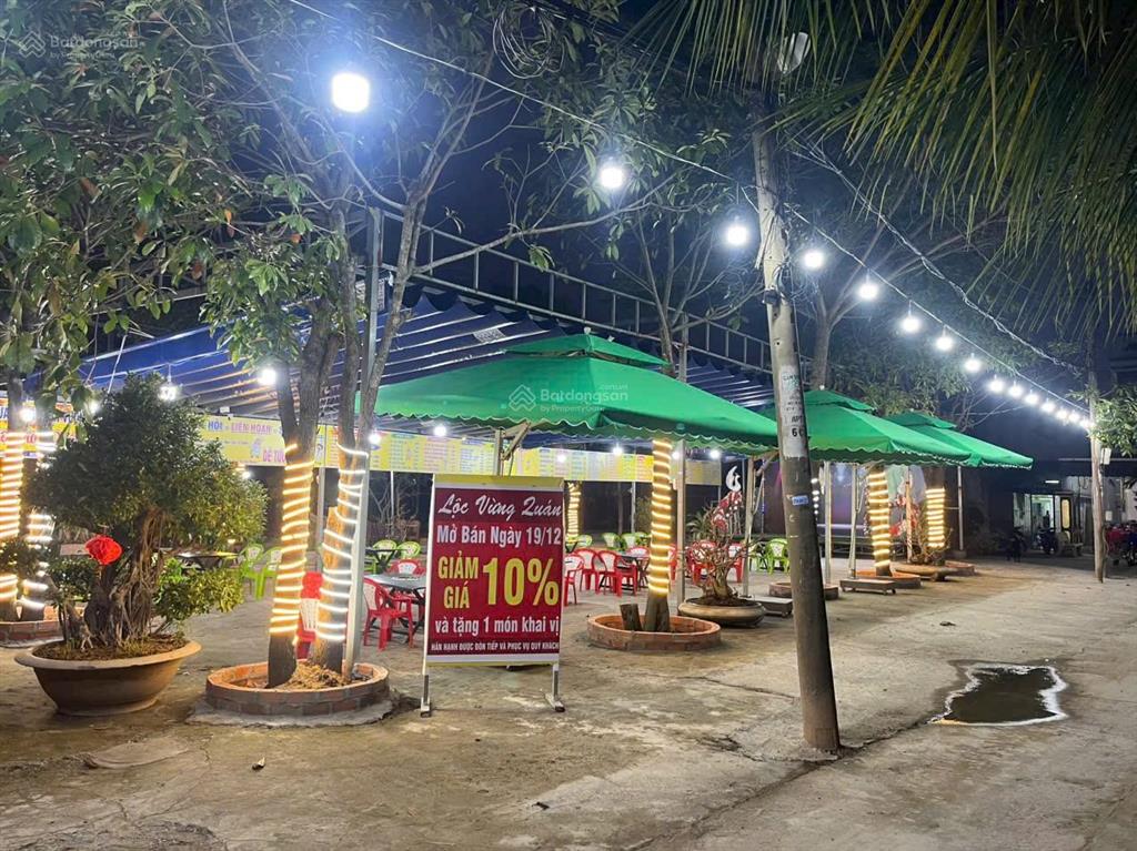 Thanh lý đất trồng cây lâu năm