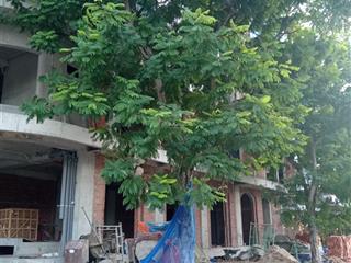 Bán nhà mặt phố nguyễn duy cung, 4,9 tỷ, 85m2, view đẹp, giá tốt